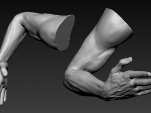 16 male arms 3D Model