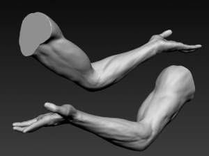 16 male arms 3D Model