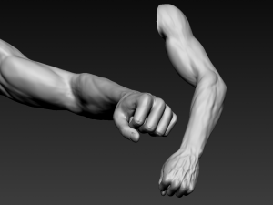 16 male arms 3D Model