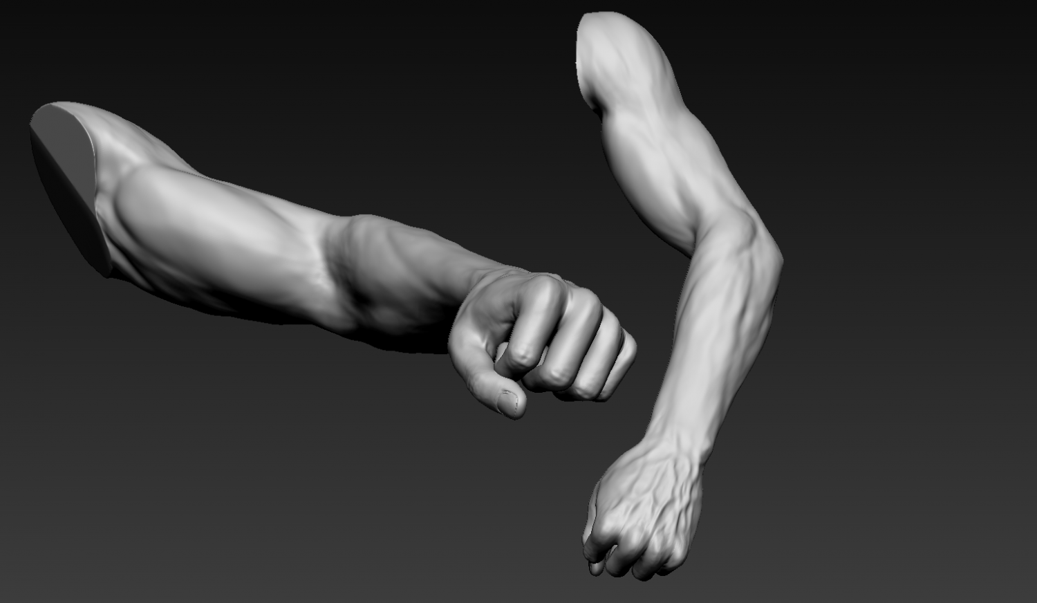 Arm 3d model. Arm 3d model free.