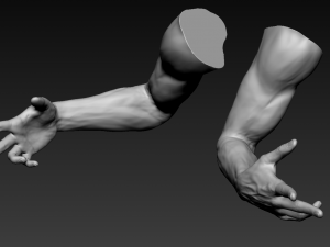 16 male arms 3D Model