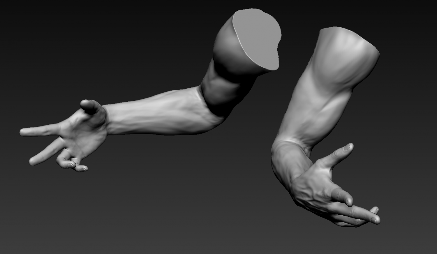 Arm 3d model. Arm 3d model free.