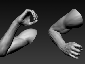 16 male arms 3D Model
