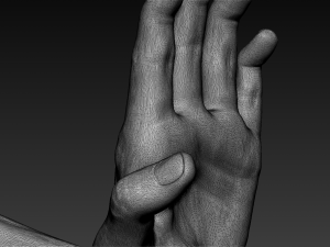 16 male arms 3D Model