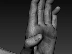 16 male arms 3D Model