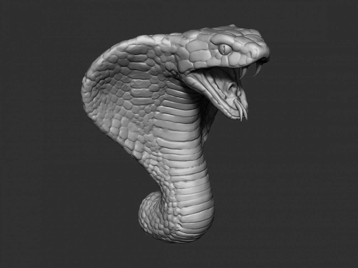 cobra head 3D Model .c4d .max .obj .3ds .fbx .stl .blend 
