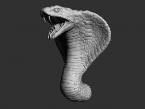 cobra head 3D-Modell