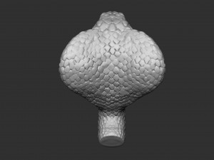 cobra head 3D-Modell