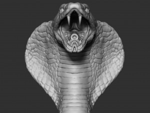 cobra head 3D-Modell