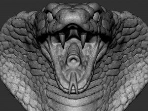 cobra head 3D-Modell