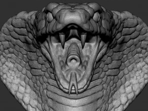 cobra head 3D Model