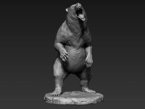 bear zbrush 3D-Modell