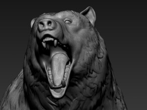 bear zbrush 3D-Modell