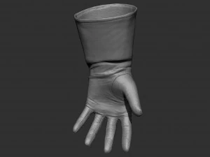 gloves zbrush 3D Model