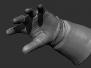 gloves zbrush 3D Model