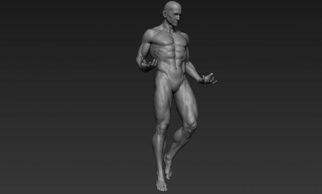 male full body sculpt pose 1 3D Model .c4d .max .obj .3ds .fbx .stl .blend 