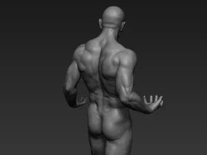 pose de escultura de corpo inteiro masculino 1 Modelo 3D