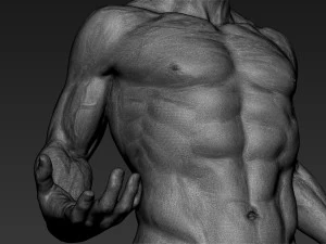 pose de escultura de corpo inteiro masculino 1 Modelo 3D