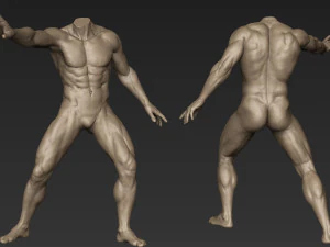male full body sculpt pose 2 3D Model