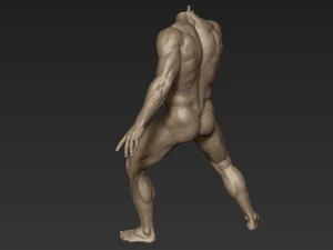 male full body sculpt pose 2 3D Model