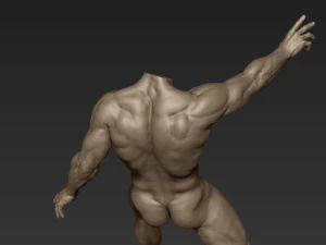 male full body sculpt pose 2 3D Model