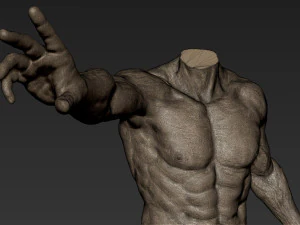 male full body sculpt pose 2 3D Model