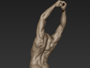 male full body sculpt pose 3 3Dモデル