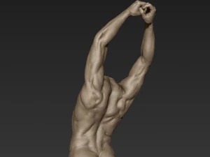 male full body sculpt pose 3 3D Model