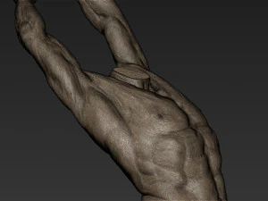 male full body sculpt pose 3 3D Model