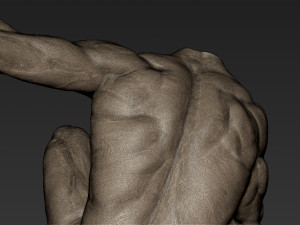 male full body sculpt pose 5 3Dモデル