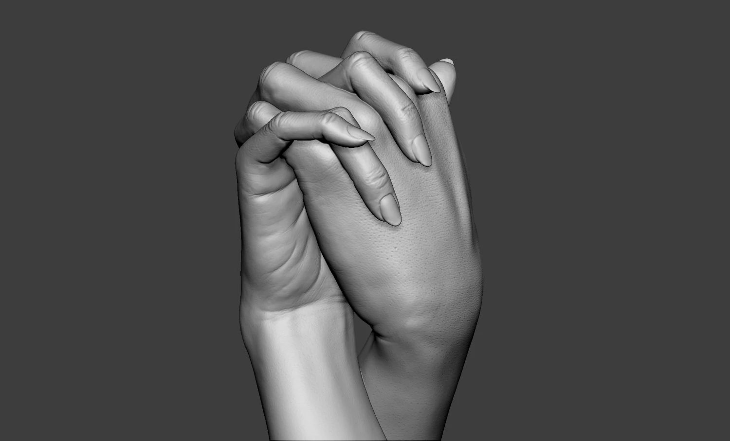 Male and Female Hands 1 3D Print Model .c4d .max .obj .3ds .fbx .stl .blend 