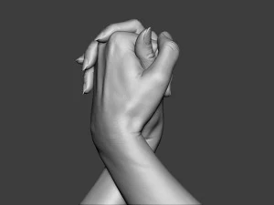 Male and Female Hands 1 3D Print Model