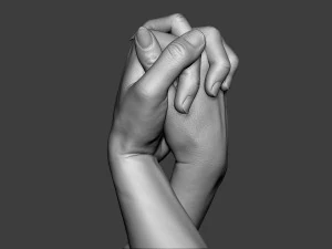 Male and Female Hands 1 3D Print Model