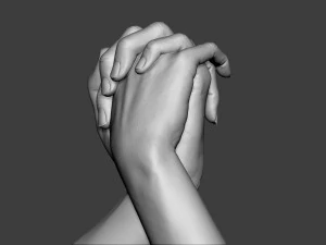 Male and Female Hands 1 3D Print Model