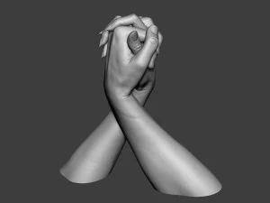 Male and Female Hands 1 3D Print Model