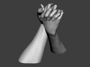 Male and Female Hands 1 3D Print Model
