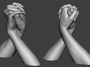 Male and Female Hands 1 3D Print Model