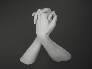 Male and Female Hands 1 Model Cetak 3D