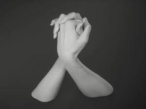 Male and Female Hands 1 3D Print Model