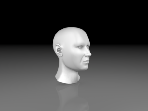 male head mesh 3D Model