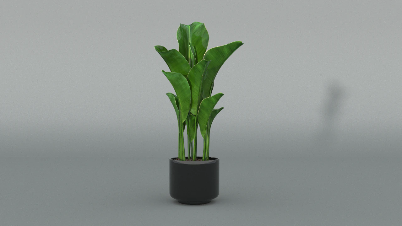 banana tree 3D Model .c4d .max .obj .3ds .fbx .stl .blend 
