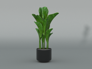 banana tree 3D 模型