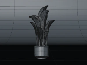 banana tree 3D Model