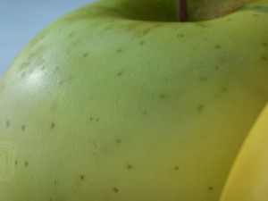 apples high resolution cut apples 3D Model