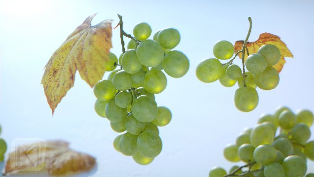 grapes single fruit bunches and model kit 3D Model .c4d .max .obj .3ds .fbx .stl .blend 