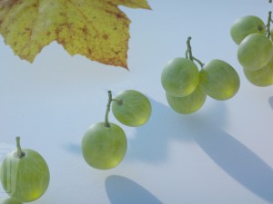 grapes single fruit bunches and model kit 3D Model
