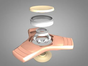 fidget spinner 3D Model