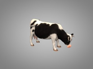 cow or bull 3D Model