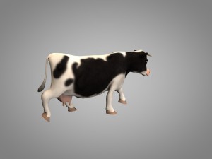 cow or bull 3D Model