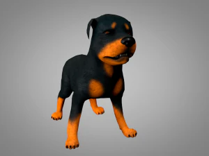 dog rottweiler 3D Model